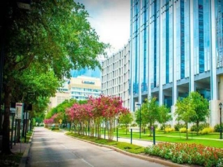 Why Should You Hire A Furnished Texas Medical Center Lodging Than Hotels