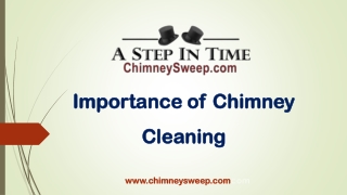 Importance of Chimney Cleaning