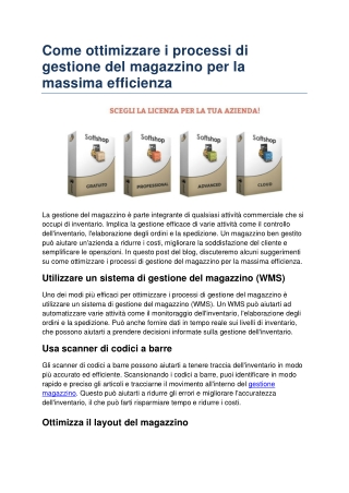 Come ottimizzare i processi di gestione del magazzino per la massima efficienza