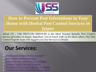 How to Prevent Pest Infestations in Your Home with Herbal Pest Control Services in Jaipur