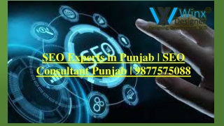 SEO Experts in Punjab | SEO Consultant Punjab | 9877575088