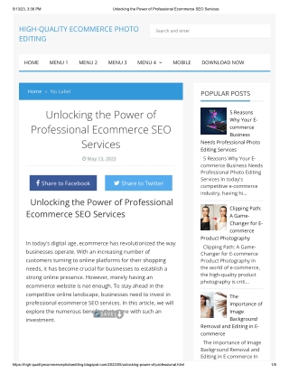 Unlocking the Power of Professional Ecommerce SEO Services