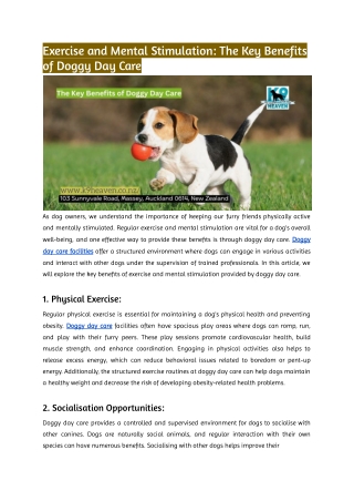 Exercise and Mental Stimulation_ The Key Benefits of Doggy Day Care