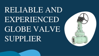 RELIABLE AND EXPERIENCED GLOBE VALVE SUPPLIER