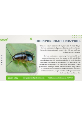 Cockroaches from Your Houston Area Home