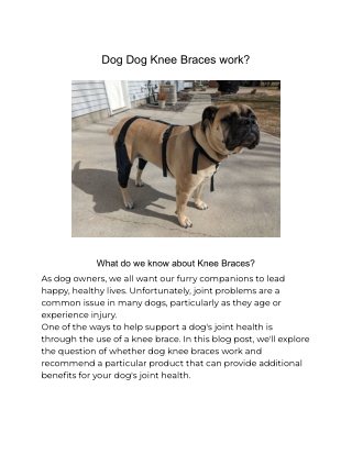 Do Dog Knee Braces work?