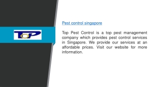 Pest Control Services in Singapore