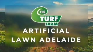 Artificial Lawn Adelaide