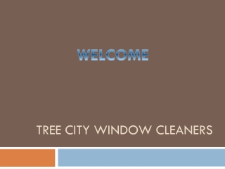 Best Gutter Cleaning Services in West Boise