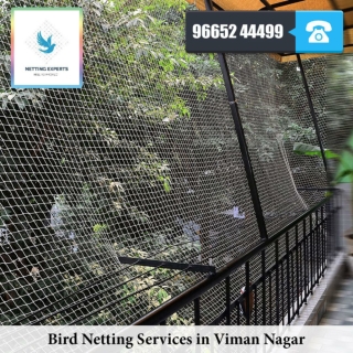 Bird Netting Services in Viman Nagar - WhatsApp :  91 96652 44499