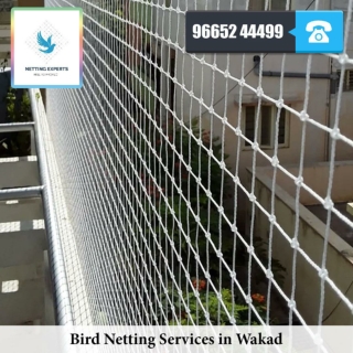 Bird Netting Services in Wakad - WhatsApp :  91 96652 44499