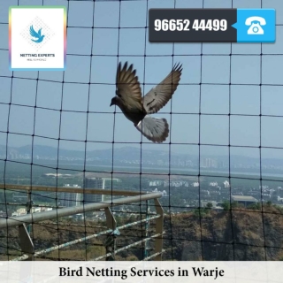 Bird Netting Services in Warje - WhatsApp :  91 96652 44499