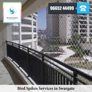 Bird Spikes Services in Swargate - WhatsApp :  91 96652 44499