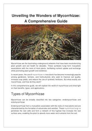 Unveiling the Wonders of Mycorrhizae A Comprehensive Guide