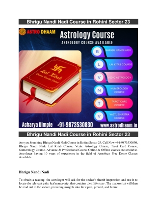 Bhrigu Nandi Nadi Course in Rohini Sector 23  91-9873530830