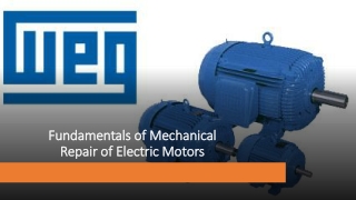 Electric Motor Repair