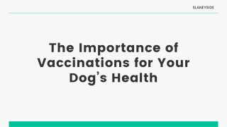 The Importance of Vaccinations for Your Dog's Health - Slaneyside Kennels