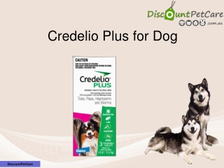 Buy Credelio Plus for Dogs Online at DiscountPetCare.com.au