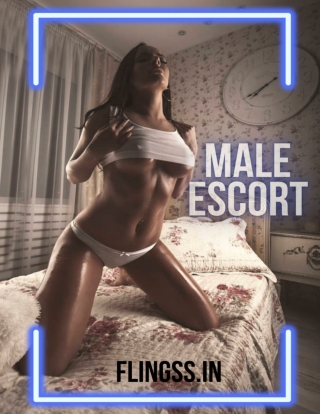 How to be successful in a part-time job as a Bangalore male escort