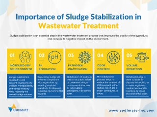 Importance of Sludge Stabilization in Wastewater Treatment