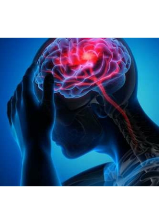 Concussion / Traumatic Brain Injury / Neurological Disorders