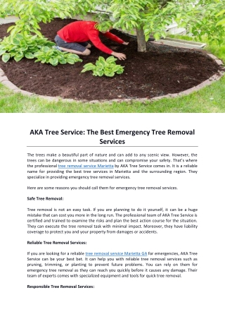AKA Tree Service: The Best Emergency Tree Removal Services