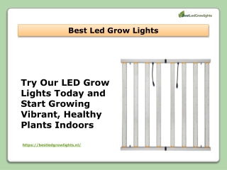 Try Our LED Grow Lights Today and Start Growing Vibrant, Healthy Plants Indoors