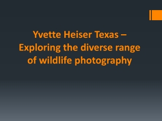 Yvette Heiser Texas – Exploring the diverse range of wildlife photography