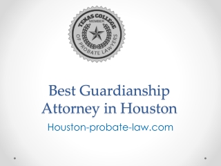 Best Guardianship Attorney in Houston - Houston-probate-law.com