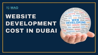 How Much Does a Website Cost In Dubai