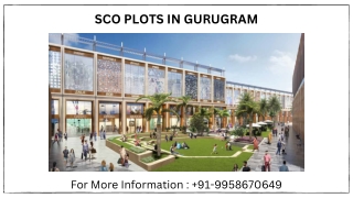 SCO Plots in Gurgaon By Adani Realty, SCO Plots in Gurgaon minimum size, 9958670