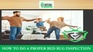 How To Do A Proper Bed Bug Inspection