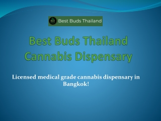 Best Buds - Cannabis Store Bangkok