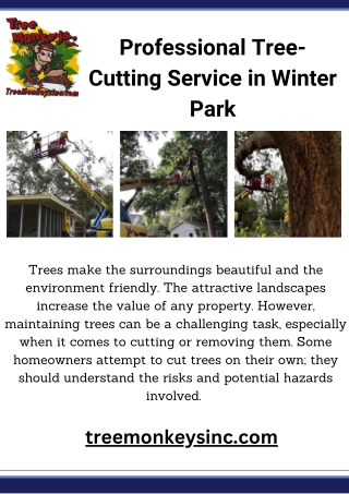 Professional Tree-Cutting Service in Winter Park