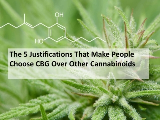 The 5 Justifications That Make People Choose CBG Over Other Cannabinoids