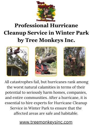 Professional Hurricane Cleanup Service in Winter Park by Tree Monkeys Inc.