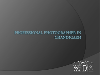 Professional Photographer in Chandigarh