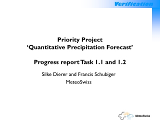 Priority Project ‘Quantitative Precipitation Forecast’ Progress report Task 1.1 and 1.2