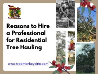 Reasons to Hire a Professional for Residential Tree Hauling