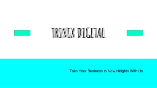 Best Digital Marketing Agency in Kerala & Calicut