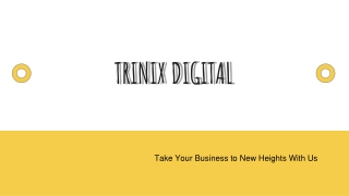 Digital Marketing Company in Kerala & Calicut