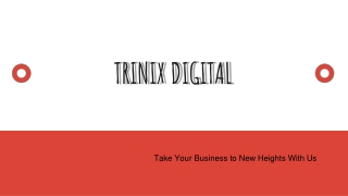 Best Digital Marketing Agency in Calicut, Kozhikode