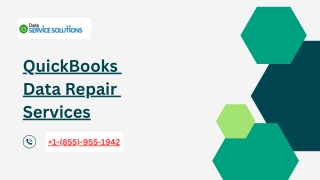 QuickBooks Data Repair Services PDF - DSS