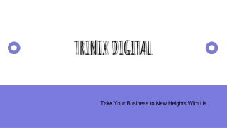 Best SEO Company in Calicut, Kozhikode & Kerala