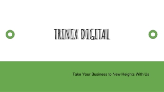 Get SEO Services in Calicut | Trinix Digital