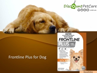 Frontline Plus For Dogs Online | Buy Frontline Plus Flea Treatment for Dogs