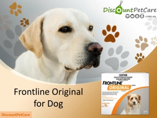 Frontline Original For Dogs Online | Cheap Frontline Original Flea Products for