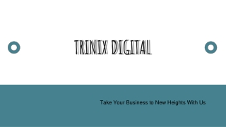 Best SEO Company in Kerala | SEO Services in Kerala