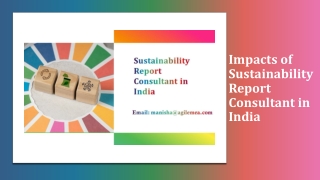 Impacts of Sustainability Report Consultant in India