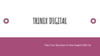 Trinix Digital - Popular Digital Marketing Team in Edappal